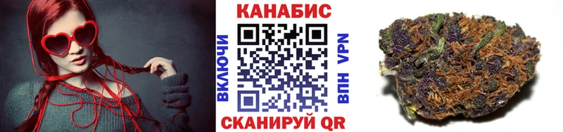 Где можно купить наркотики Кинешма СК  Псилоцибиновые грибы  ГАШ  Меф мяу мяу 