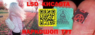 дмт Новокубанск