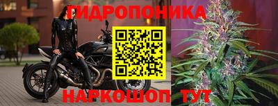 дмт Новокубанск