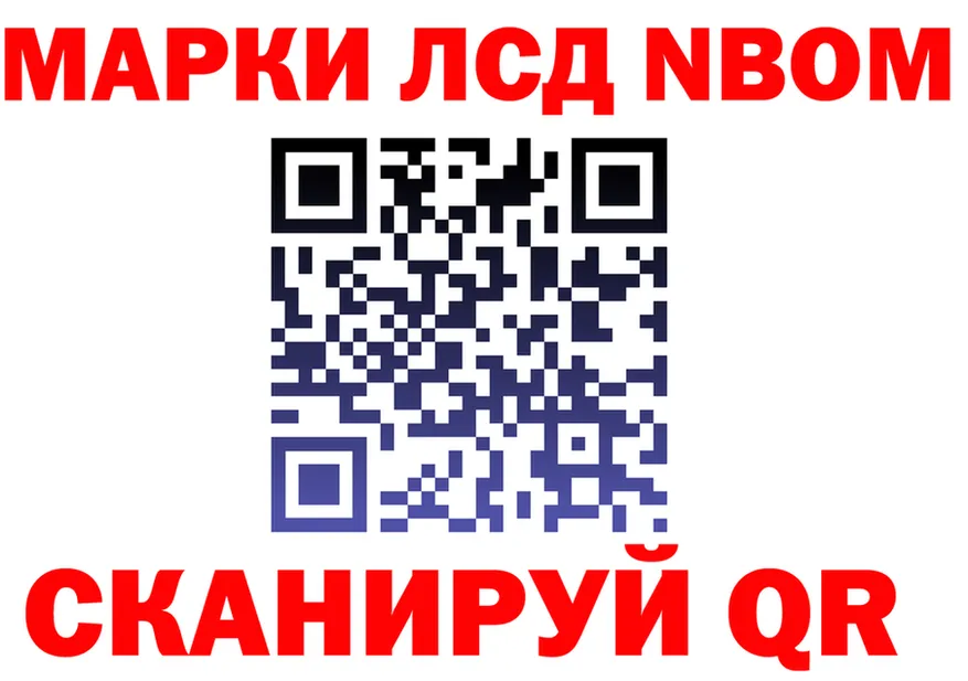 Альфа ПВП СК ссылка маркетплейс блэк спрут Кинешма
