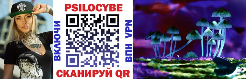Псилоцибиновые грибы Psilocybe  Кинешма 