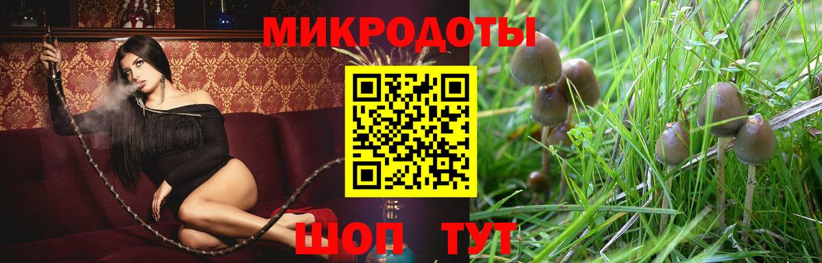 Псилоцибиновые грибы ЛСД  продажа наркотиков  Кинешма  Вход с VPN 
