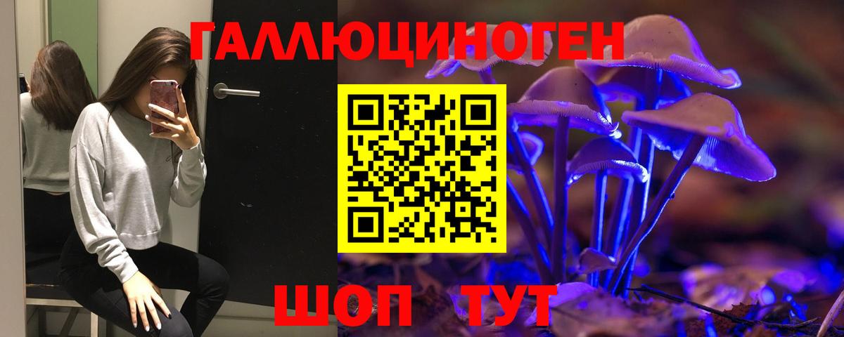 Псилоцибиновые грибы мицелий Кинешма