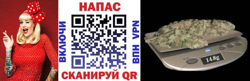 Канабис сатива  Кинешма 